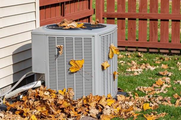 Best HVAC air duct cleaning  in Ridgeway, VA